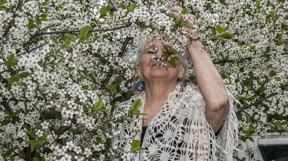 Запах весны