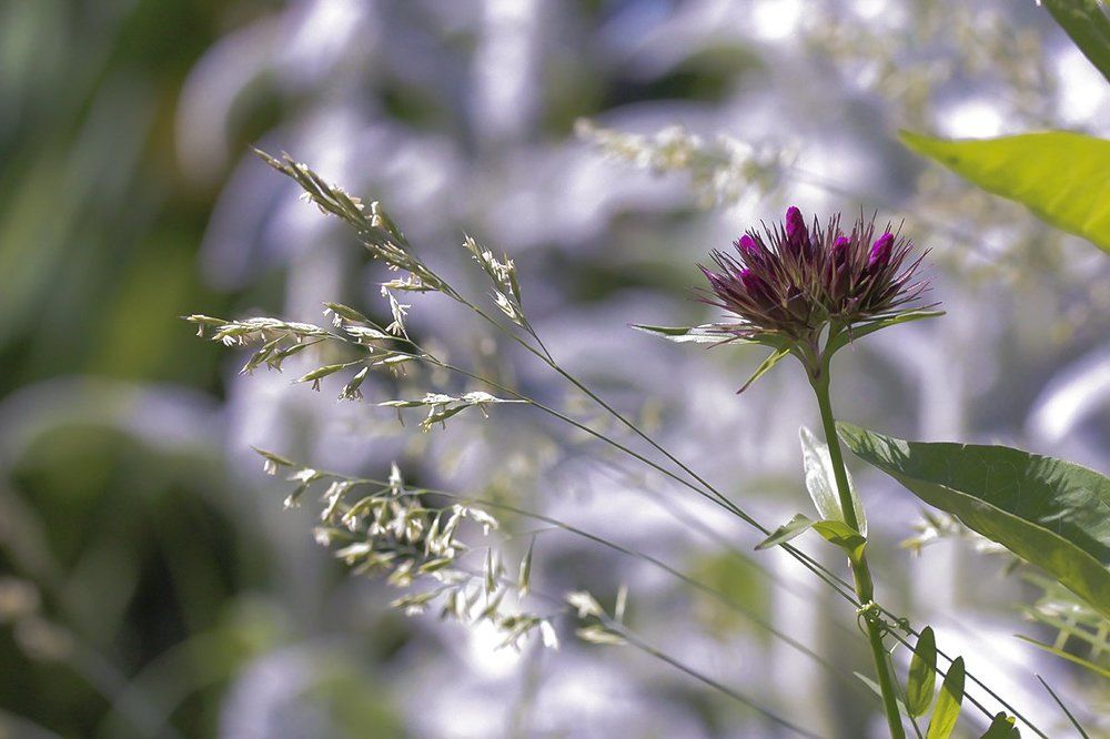 Photograph by Евгений Барзенков