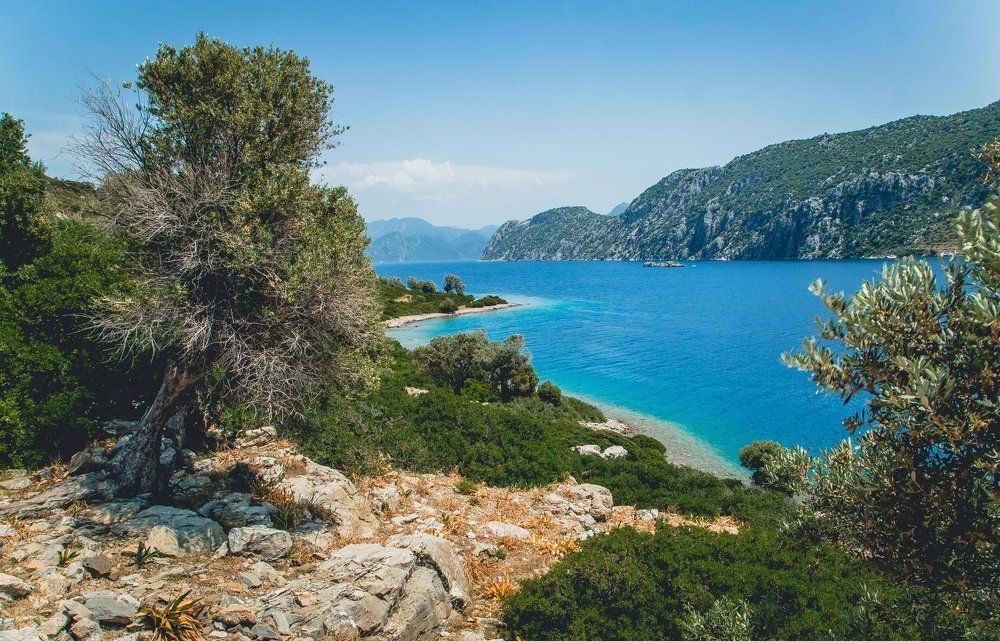 Бухта Капитана Флинта