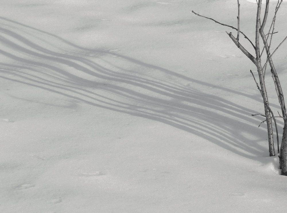 Shadows on snow