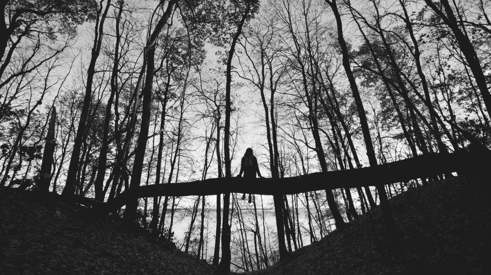 Чёрно-белый ноябрь.