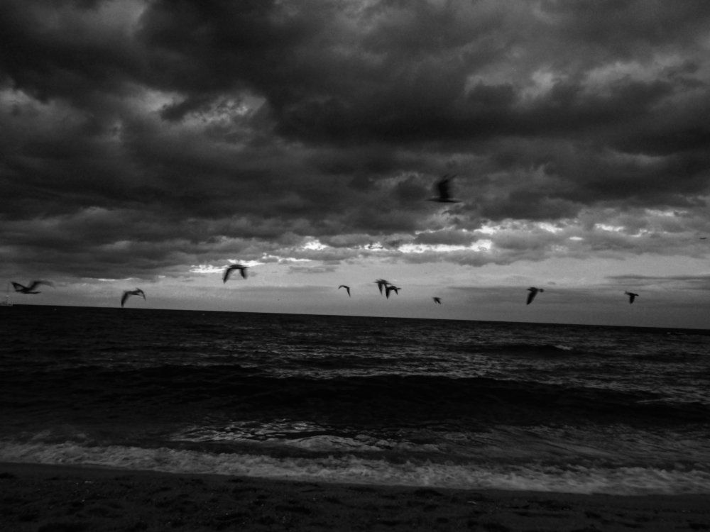 Photograph by KAUSTOVE KAISHYAP