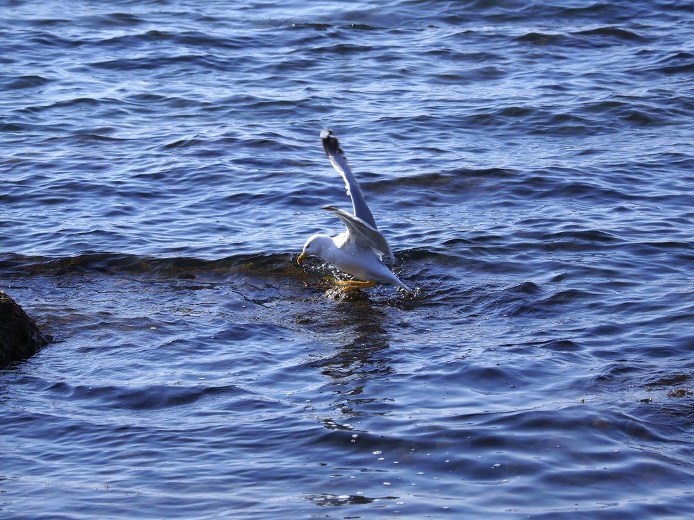 отдых в море