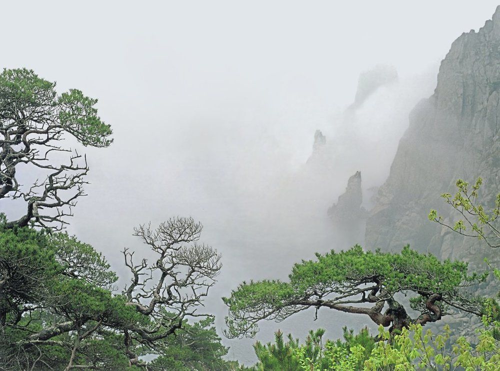 Туманное утро