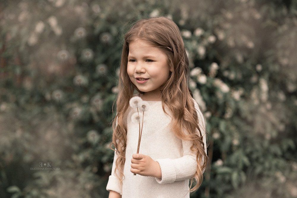 Летний день