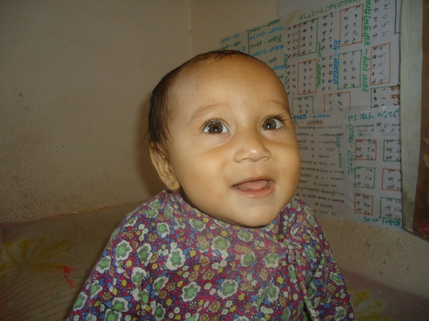 Photo #1802265