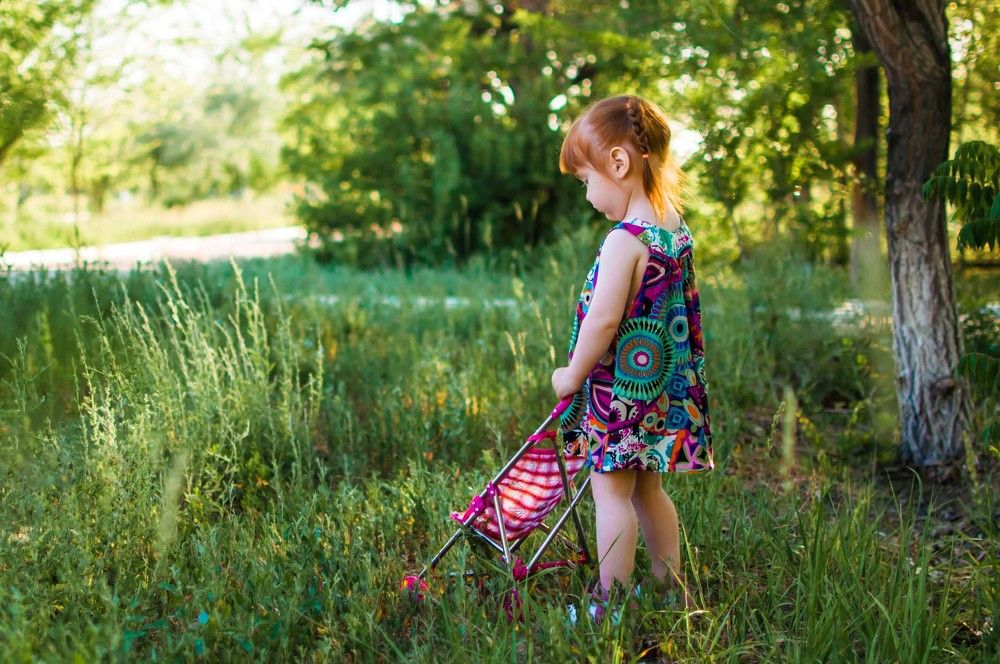 Фотография автора Дарья Шевченко