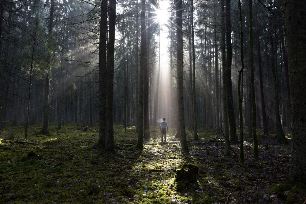 Heaven Is In My Heart