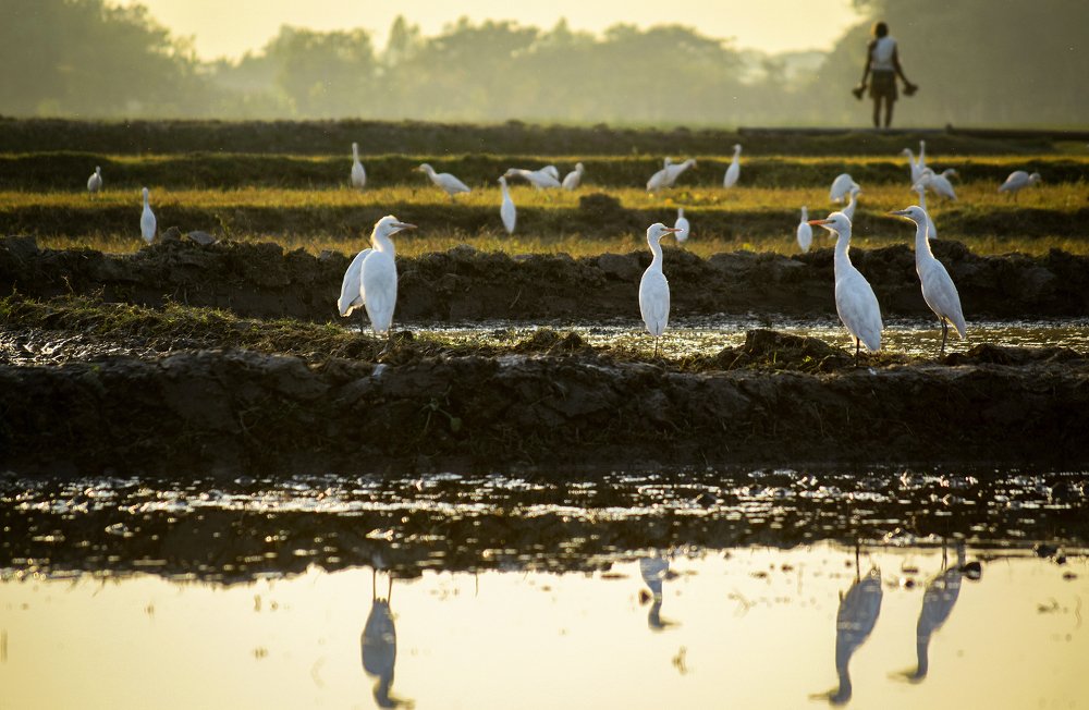 Discussion behind the enemy