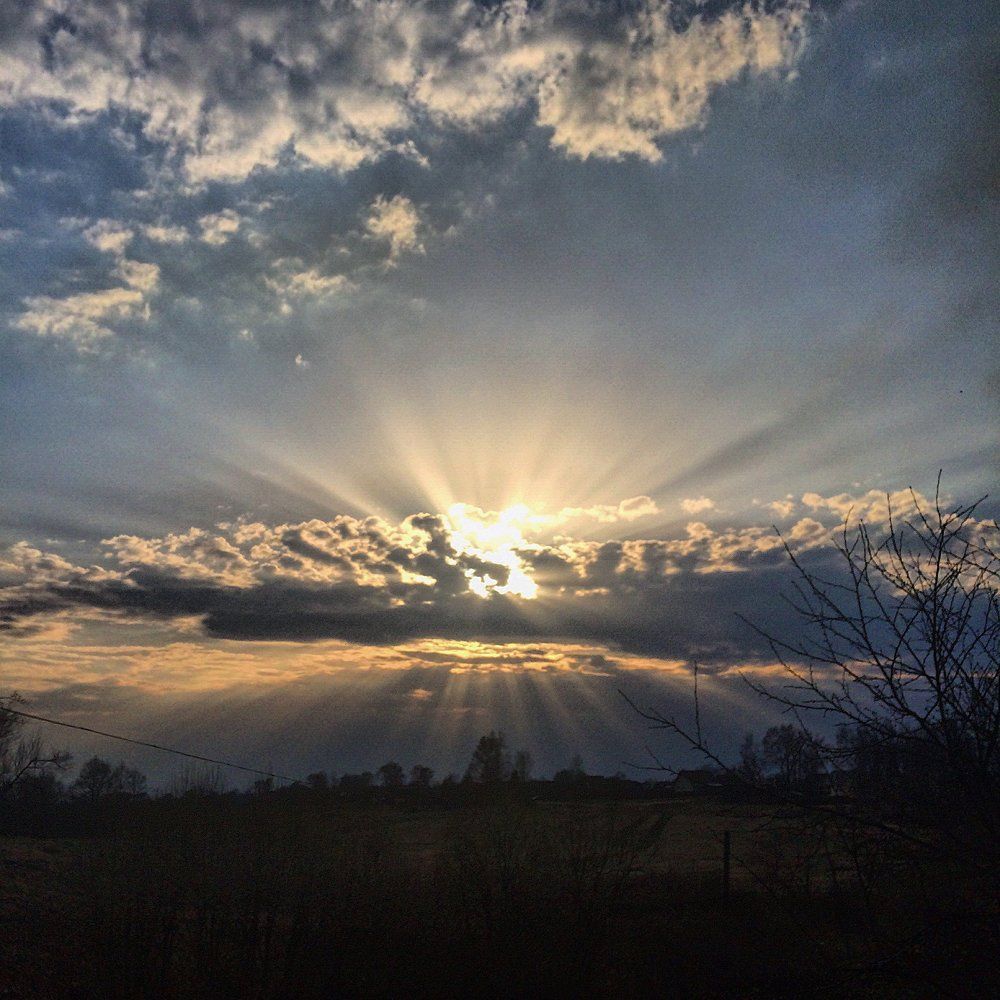 Photograph by Симохина Екатерина