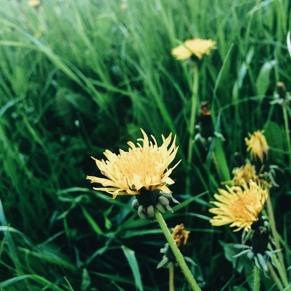 Photograph by Симохина Екатерина