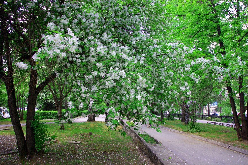 Весна