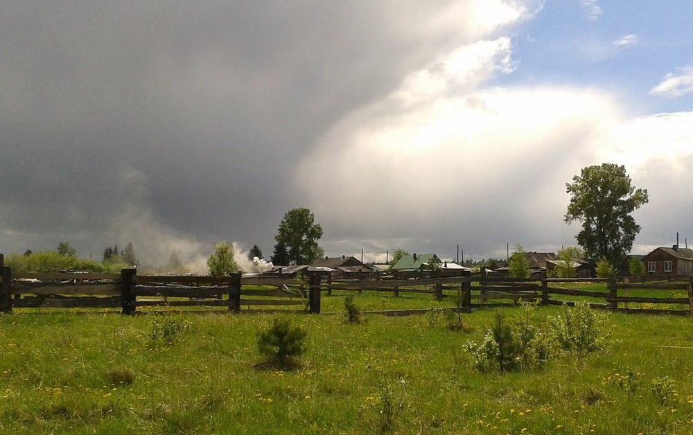 Летний день на огороде