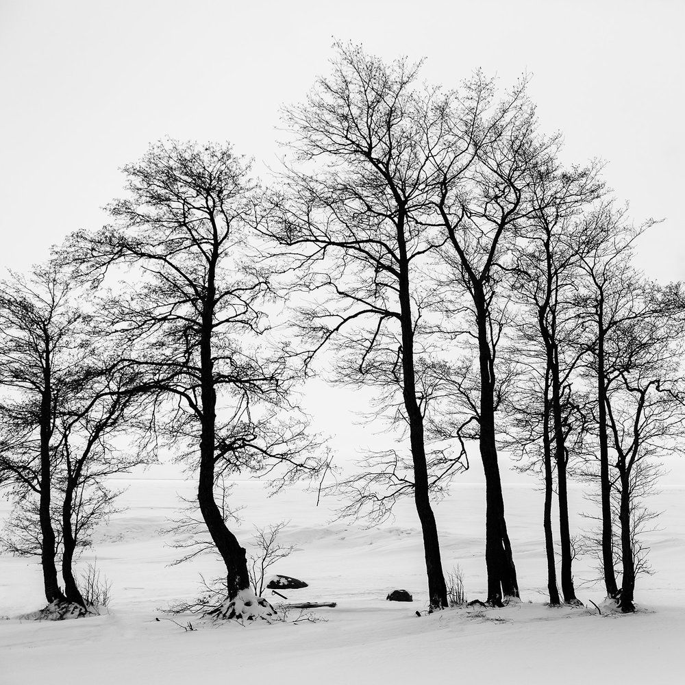 Зимний этюд