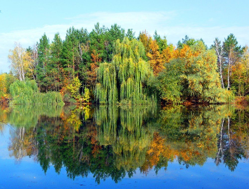 п.Гончарка, озеро