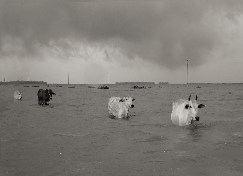 No vessel to get on...