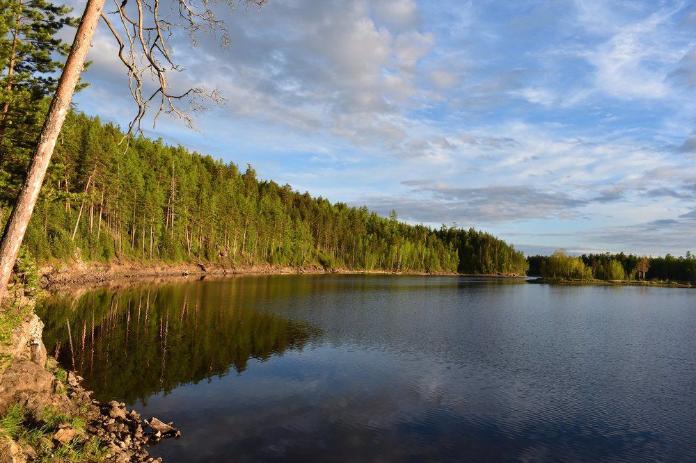 Тишь и гладь