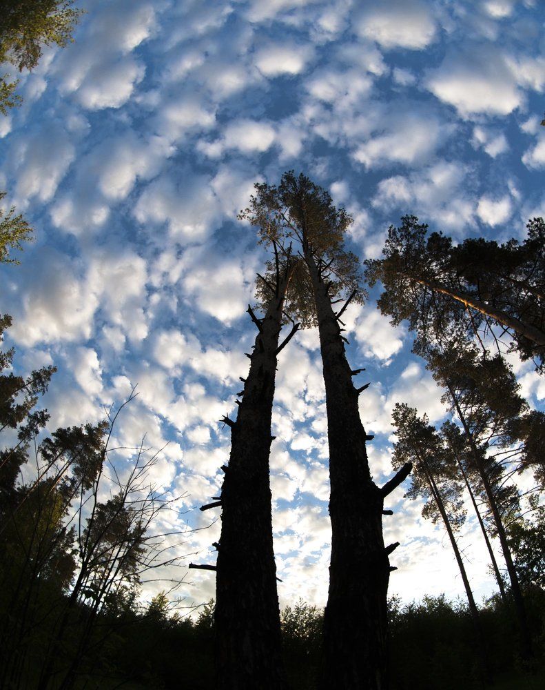 Фотография автора Евгений Лобачев