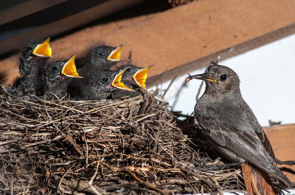 Кому ещё не давала