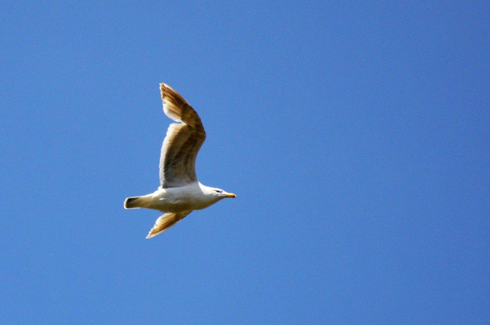 Photograph by Nadezhda