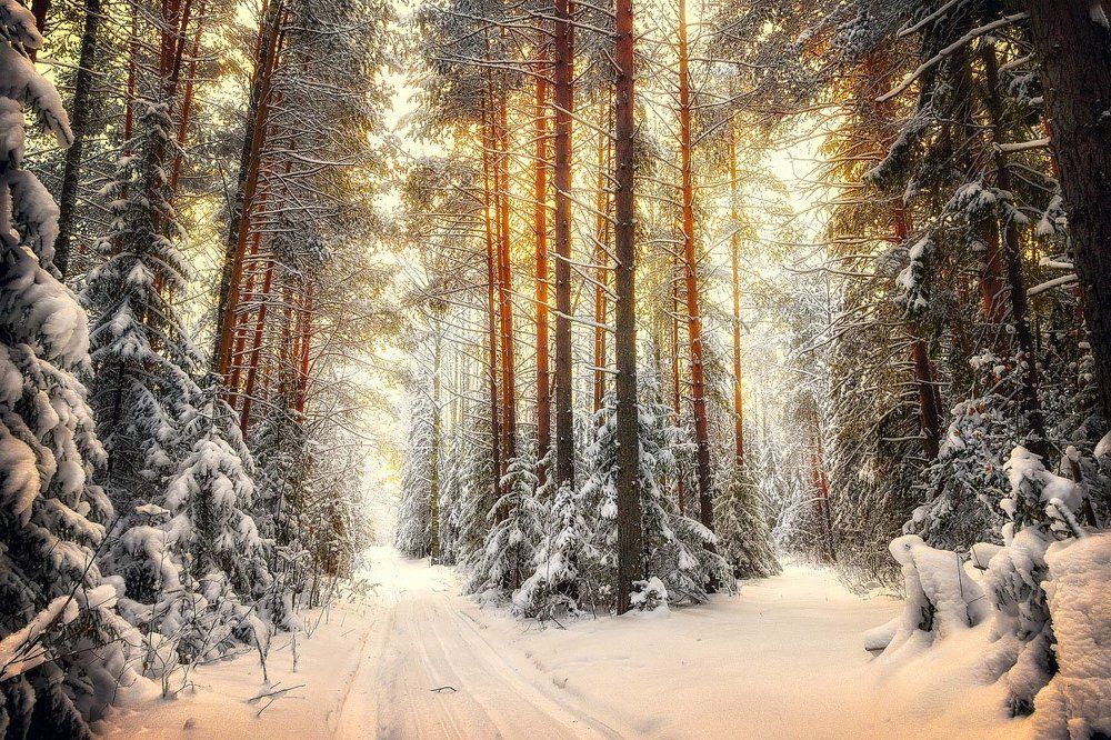 На распутье.