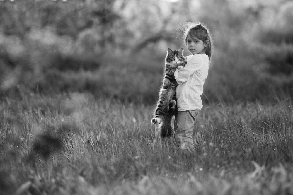 Фотография автора Александра Черемохина