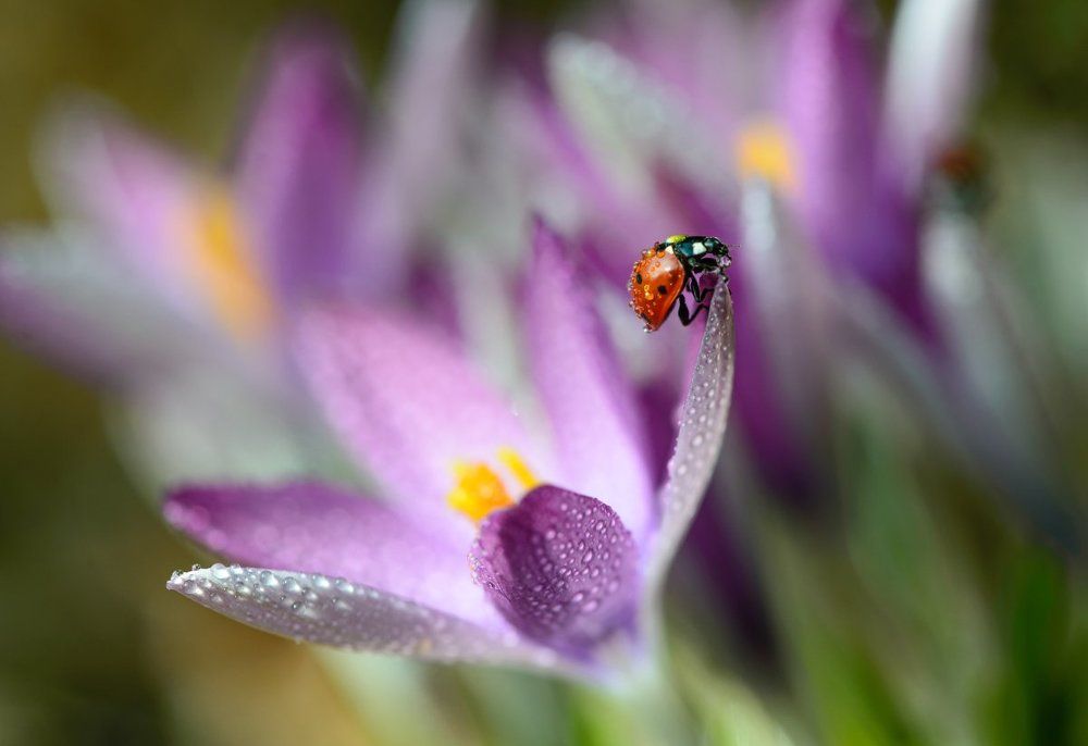 Мокрая прогулка