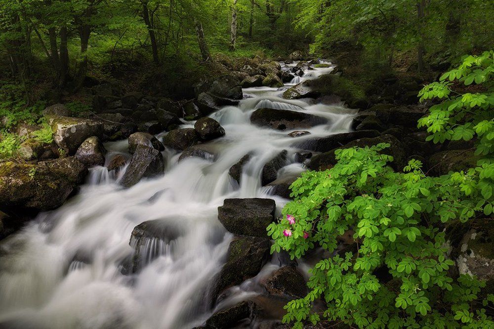 река Владайска