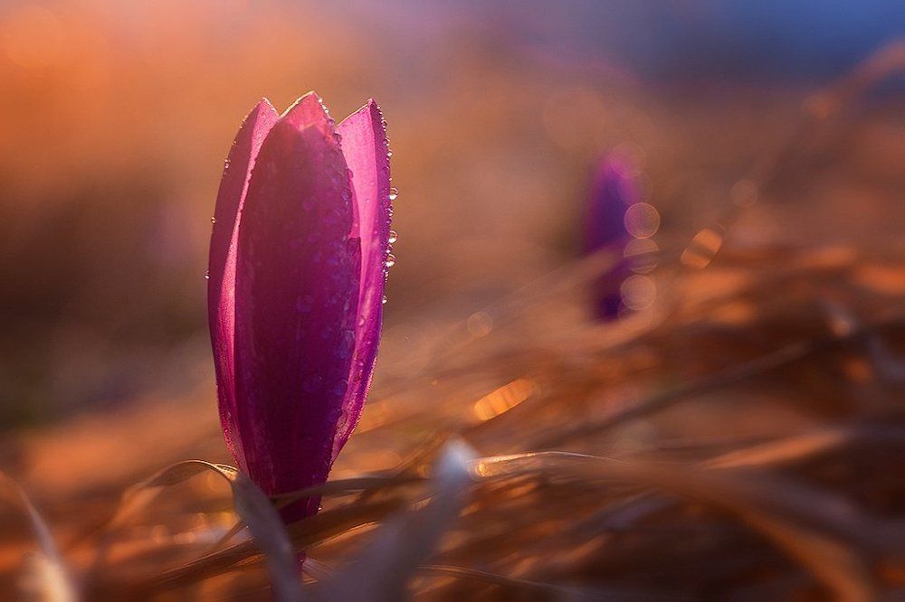 Изкупался. Солнце спускаеться.Время поспать.