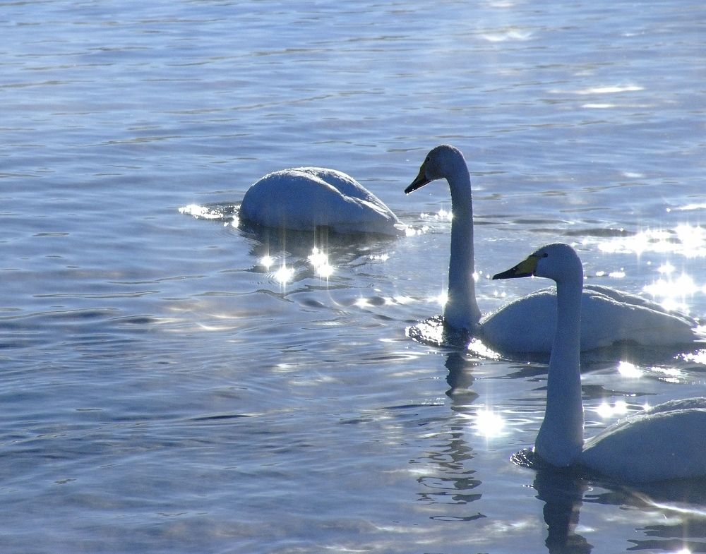 И что же там блестит на дне?