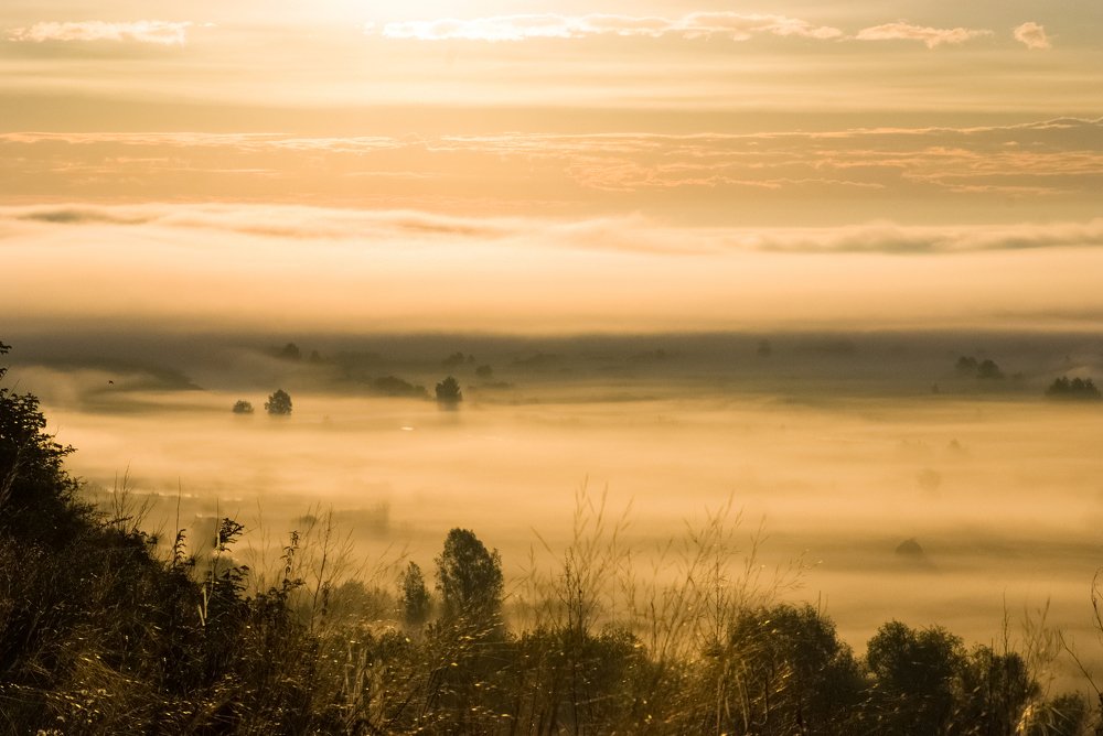 Утренний туман