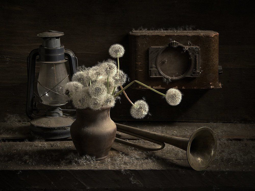 Отголоски мая