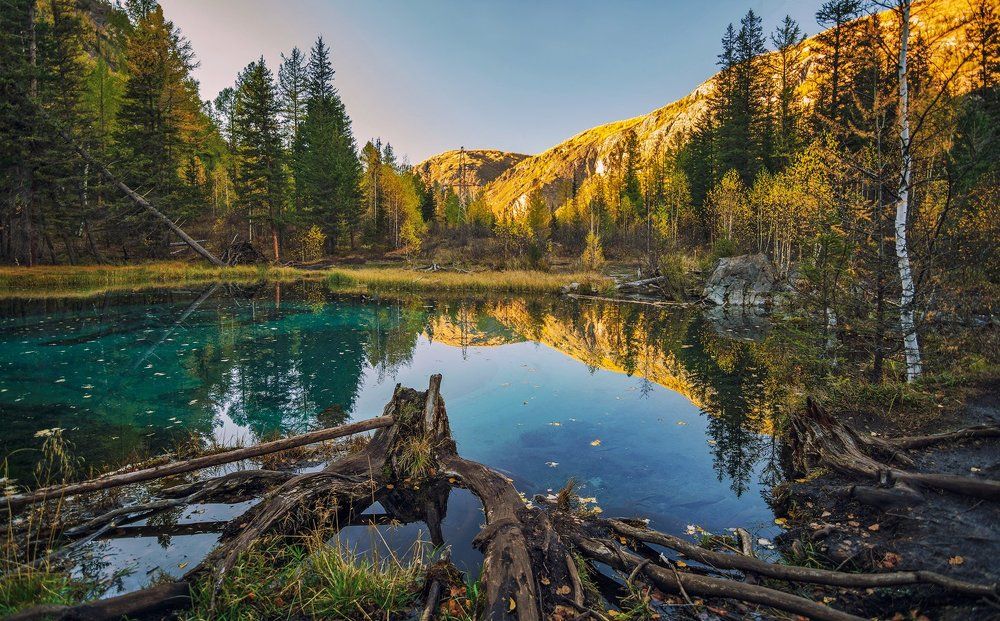 Озёрный спрут...