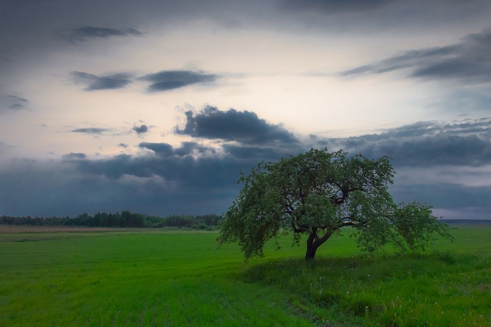 Состояние природы