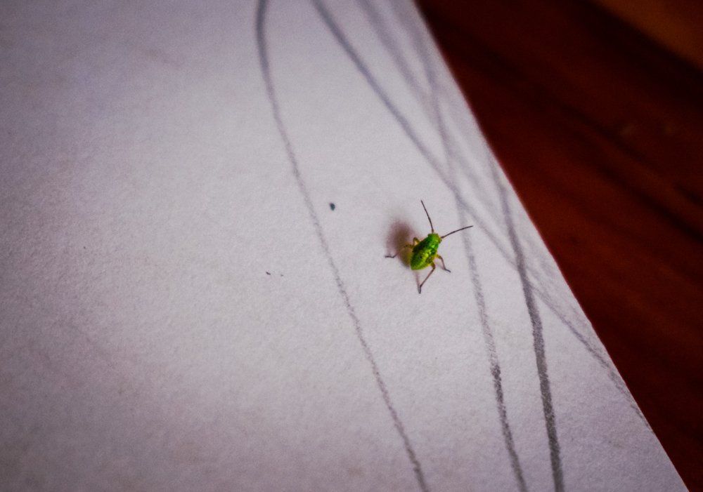 Photograph by karina2699