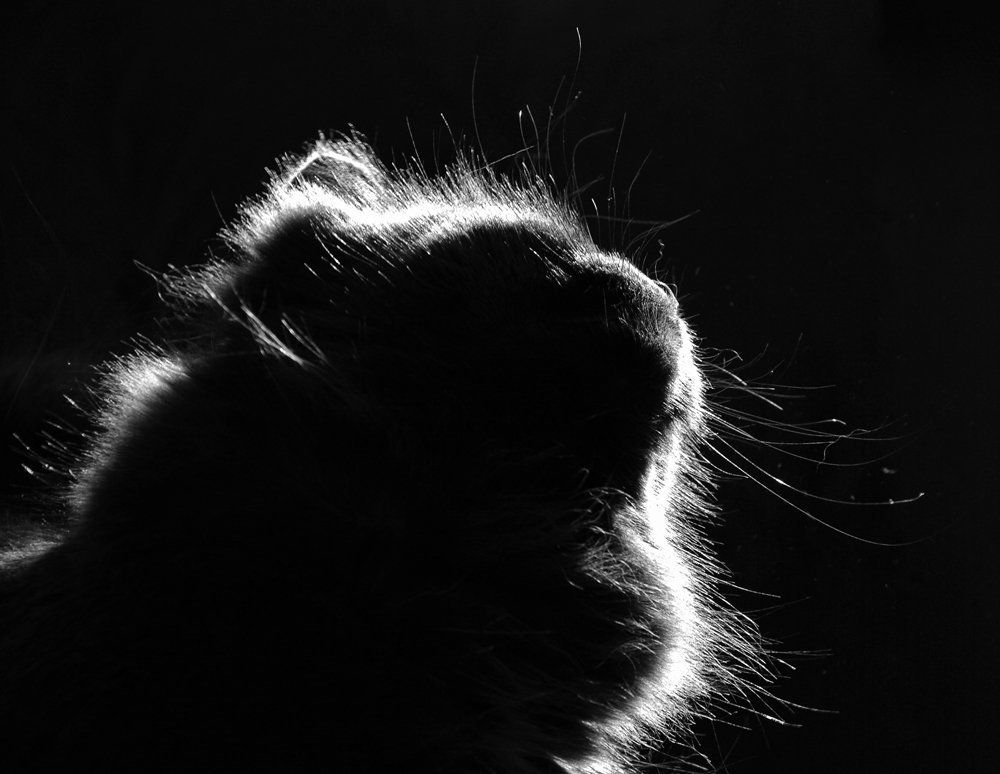 На солнышке