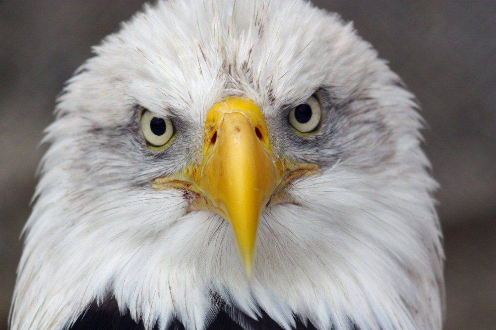 Photograph by Бабушкин Александр