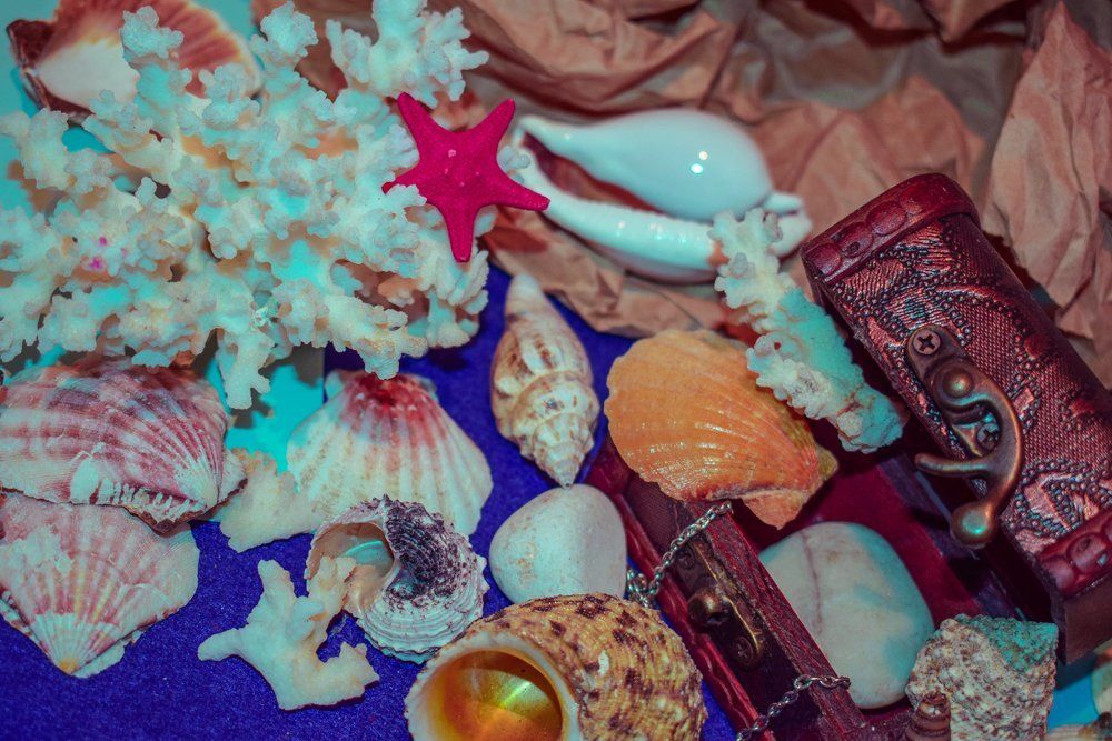 Photograph by karina2699