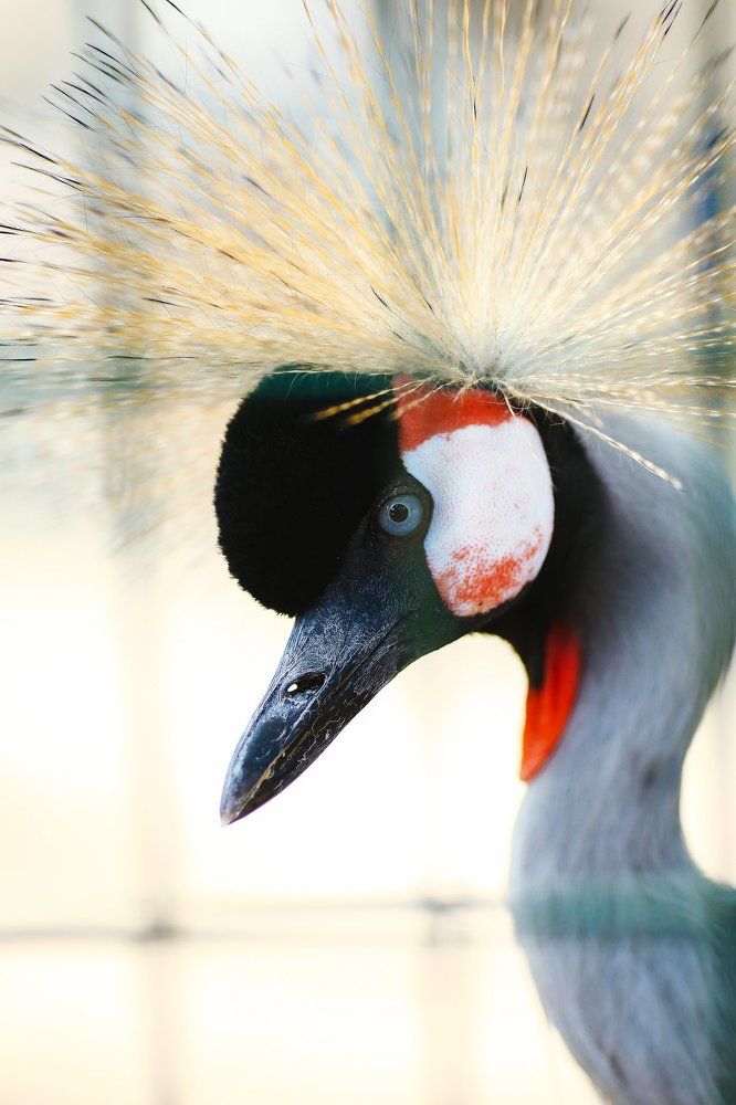 Photograph by Ольга Кучина