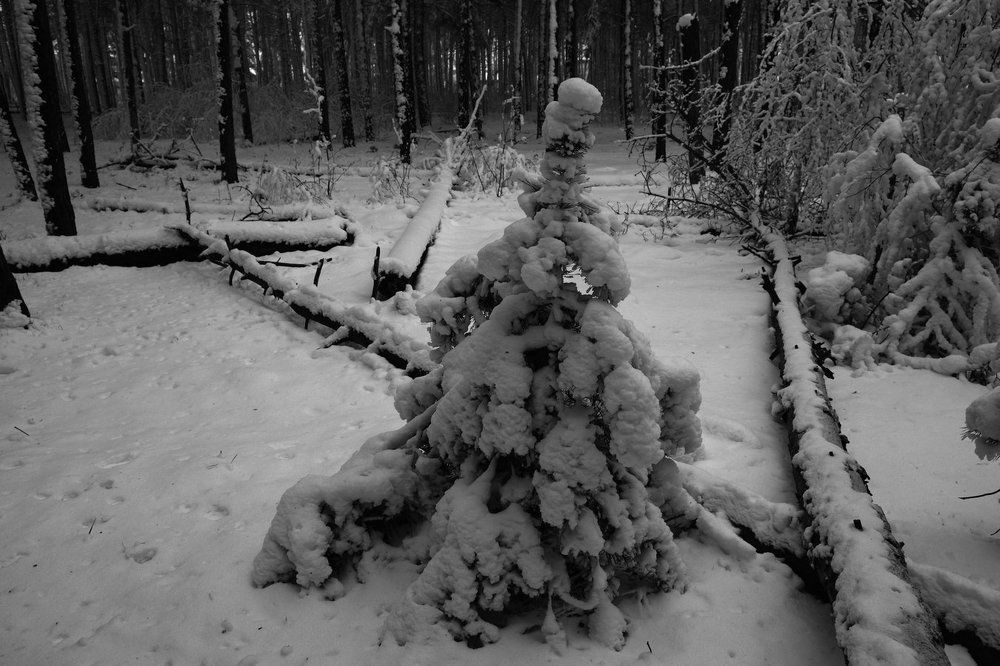 Photograph by Андрей