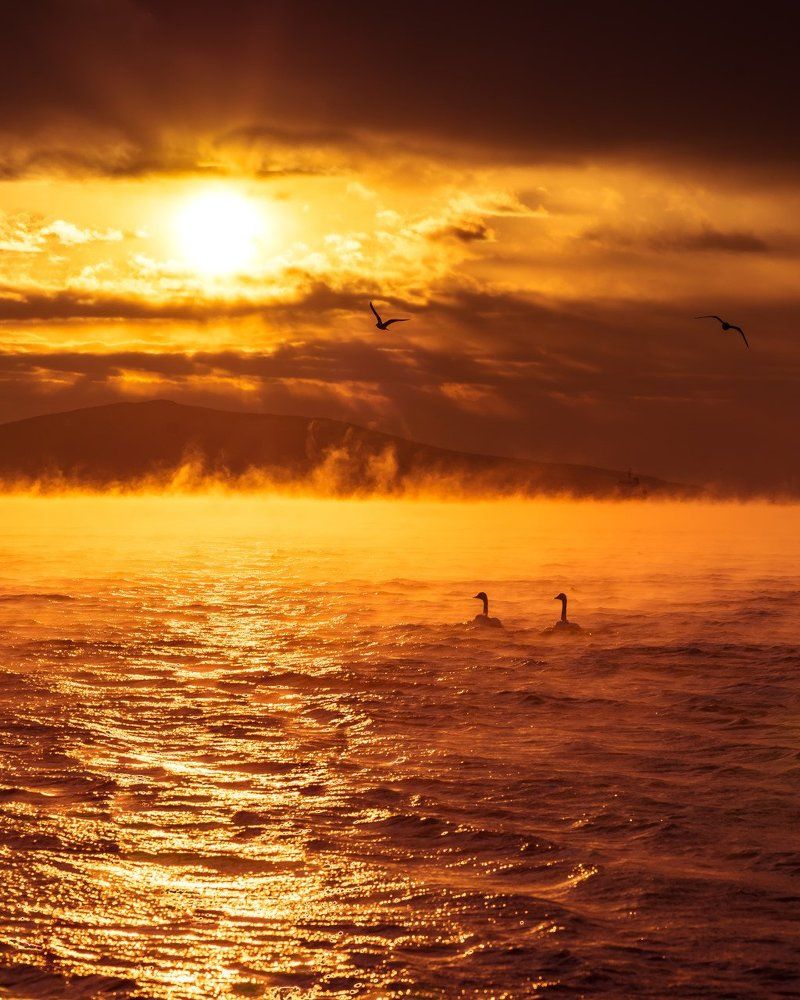 В лучах утреннего света