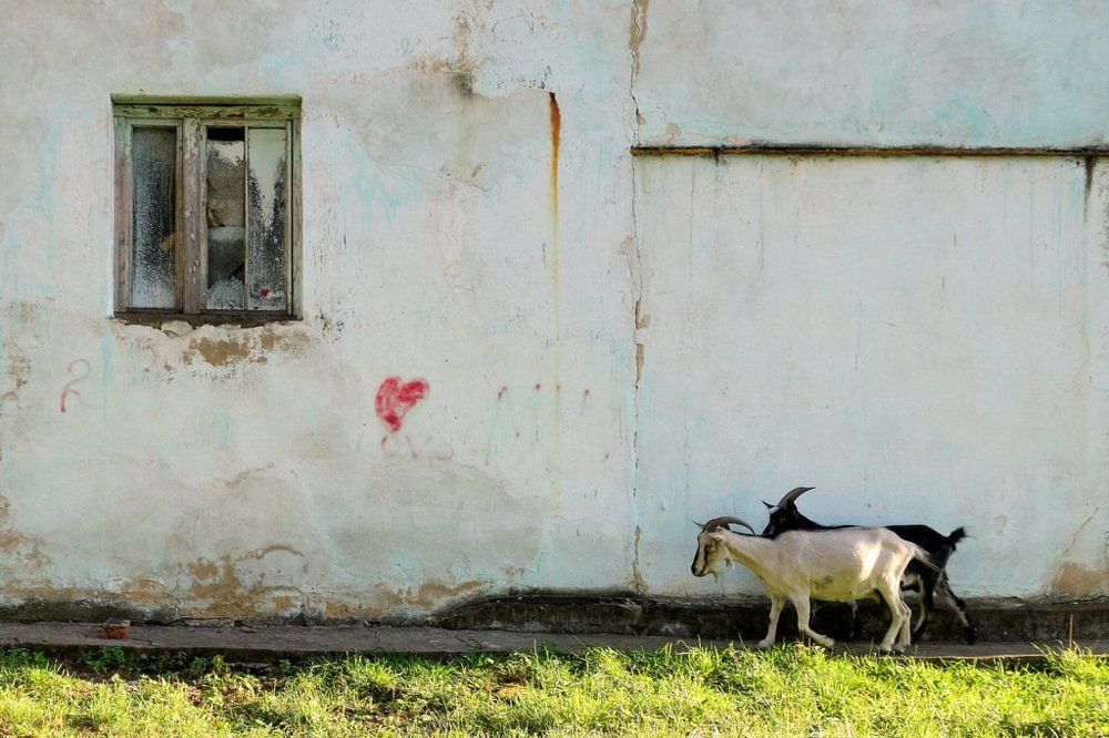 Photograph by Степанов Евгений