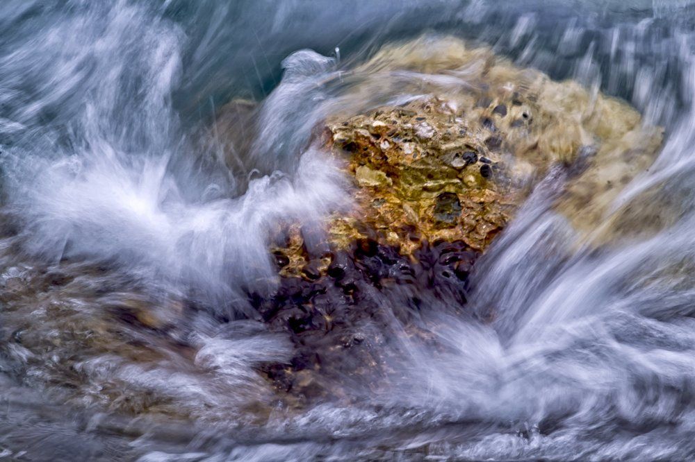 Морской дракон