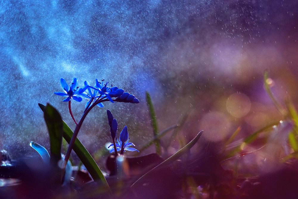 На стыке двух миров...