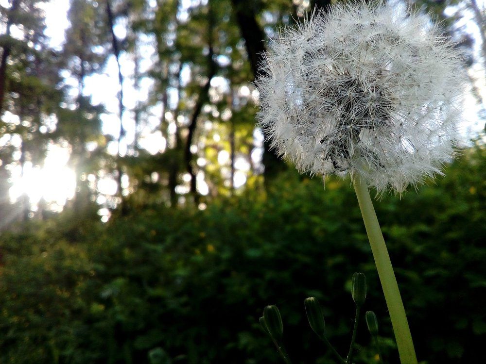 Photograph by Ира Балакова