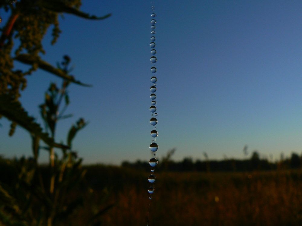 Photograph by Татьяна Загаринская