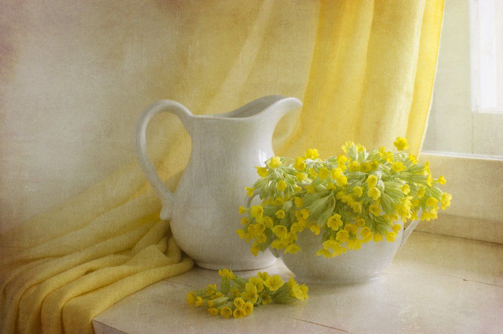 Photograph by Синегубова Ольга