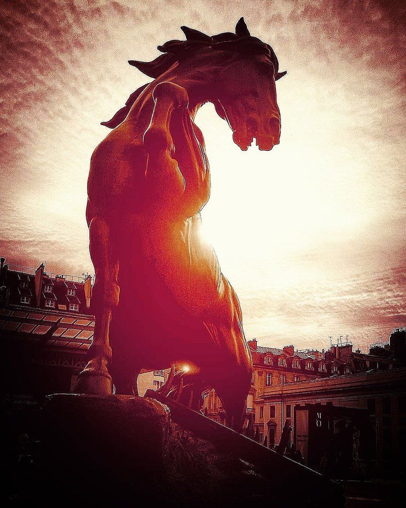 Raging stallion of modern art