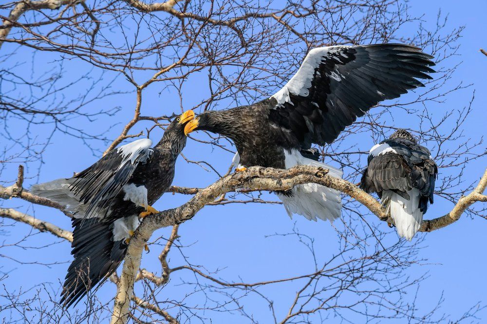- Давай сделаем вид, что фотографа не видим.