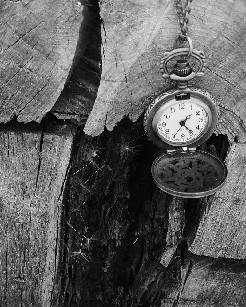 Время идёт...